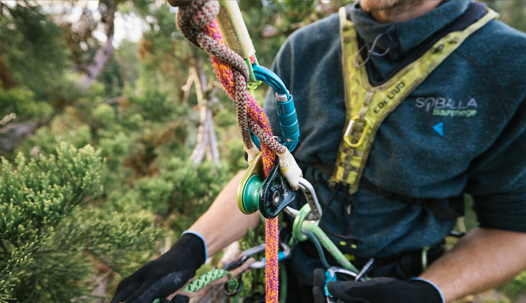 Tree Care | EDELRID