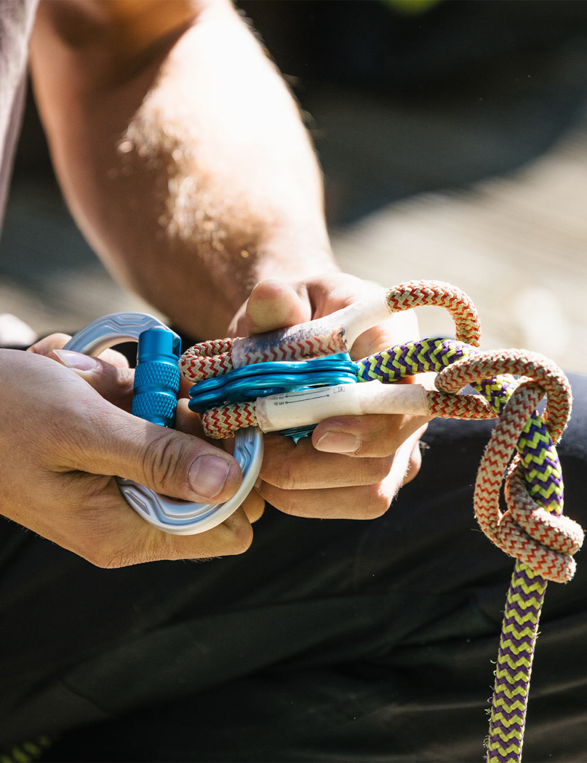 Tree Care | EDELRID